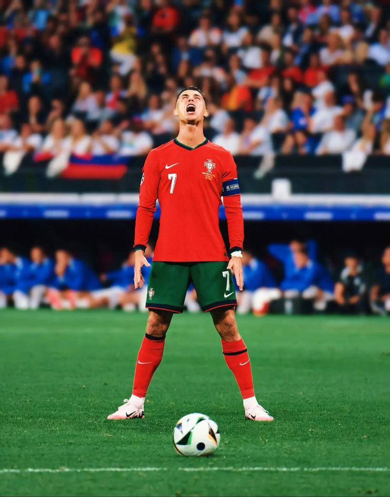 必须学会在 必须学会在