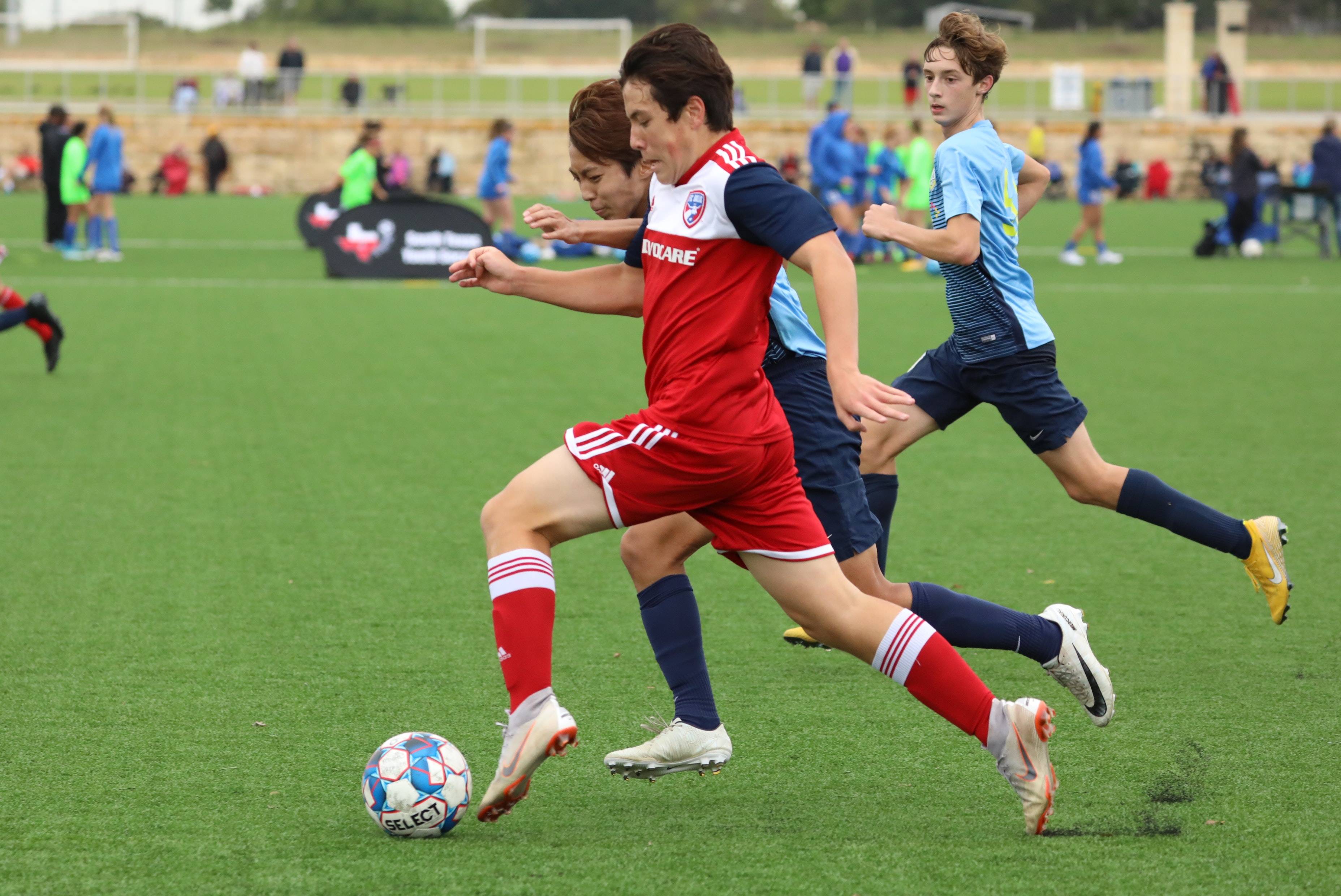 起球迷热议 起球迷热议