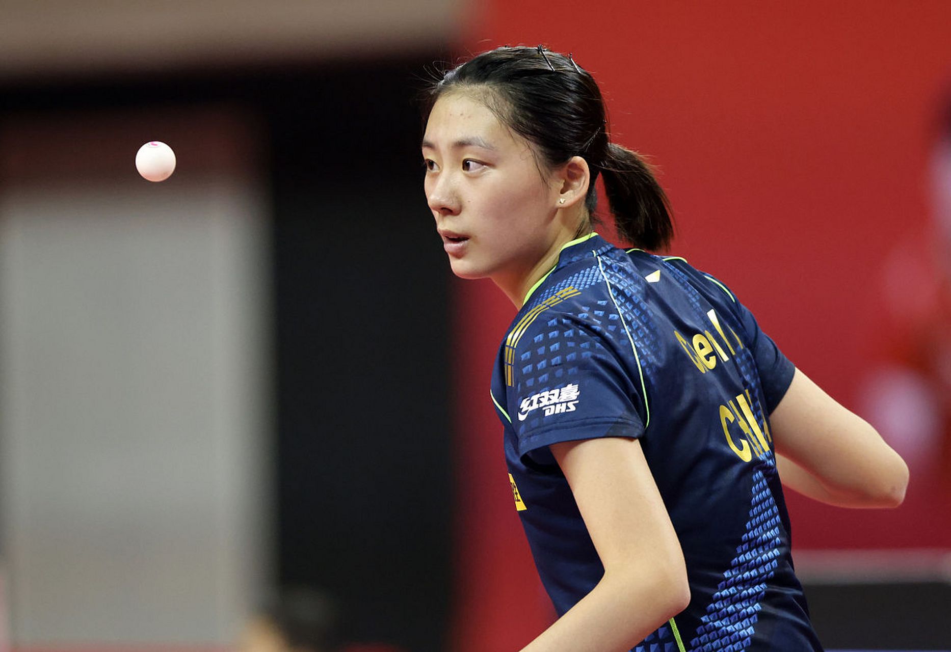 本赛季的进 本赛季的进